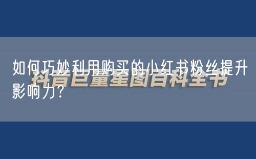 如何巧妙利用购买的小红书粉丝提升影响力？